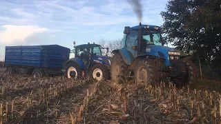 Kukorica betakarítás/Corn harvesting"Sárgák akcióban" 2017 NH, Challenger, Landini, M.Ferguson