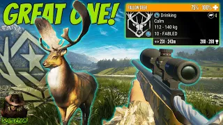 Taking The FABLED GOLDEN Great One Fallow Deer With The 22-250 Rifle! + Fallow Deer Guide!