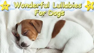 Relaxing Sleep Music For Jack Russel Dogs Puppies ♫ Relax Your Dog ♥ Lullaby For Dogs