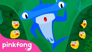 Hiu Martil, Kepala Martil! 🔨 | Series Binatang Laut | Lagu Anak pendidikan | Pinkfong & Baby Shark