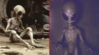 Este Granjero Encontró Un Extraterrestre ¡Y Lo Que Pasó Luego Impactó Al Mundo Entero