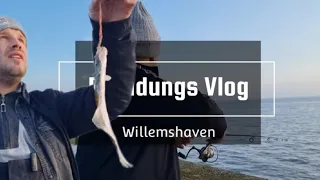 Biss Biss Biss in Wilhelmshaven Brandungs angeln an der Kai Mauer #angeln #fishing #plattfisch #fish