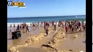 Super Great white shark rescue by tourists