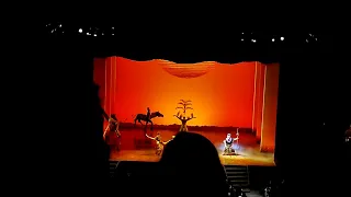 Ciclo da vida - Circle of Life The Lion king musical Brazil