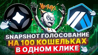 ⚡️ Snapshot голосования на 100 кошельках в одни кликом - Stargate, Arbitrum, Optimism, LayerZero 🚀