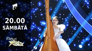 Maria Ene, o interpretare angelică la harpă și voce | Next Star