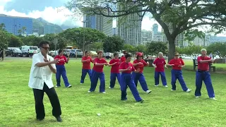 Magic Island Beautiful Spring Day for Best Buddies Friendship Walk and Health Healing Martial Arts .