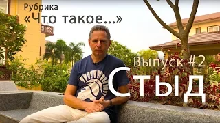 Что такое Стыд? Отвечает Василий Тушкин (рубрика "Что такое", выпуск #2)