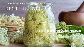 RECETTE PLANTE SAUVAGE REINE DES PRES ET ROSEAU ecole de cuisine vegetale