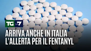 Arriva anche in Italia l'allerta per il fentanyl