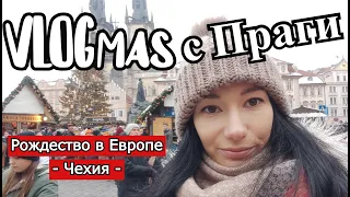 ⭐️Christmas in Prague⭐️/ Vlog from the Czech Republic/ POL SUB