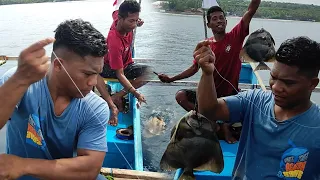 Dua Master Fishing Bertarung, Ikan Yg Sangat Jarang Didapat Oleh Nelayan, Berhasil DiTaklukan,