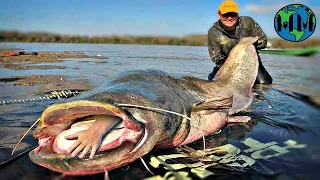 Самые СМЕРТОНОСНЫЕ МОНСТРЫ реки Амазонка. ТОП - 8.