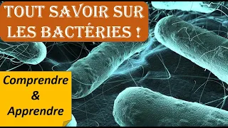 Tout savoir sur les BACTERIES  - MEMORISER TOUTES les bactéries