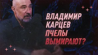 Владимир Карцев о вымирании пчел | С научной точки зрения | Black Science