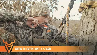 Can OVER-HUNTING a Stand Be a Good Thing? | S1E23 | Wired to Hunt