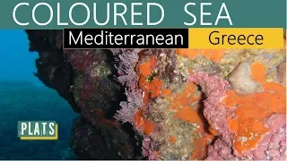 Coloured Sea (Mediterranean-Greece)