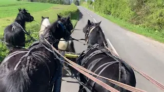 Never Been in a Team Before - Full Novice Four in Hand (Part 1)