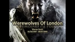 Werewolves of London - Warren Zevon on Jools Holland (We're anon monetized & anon profit)