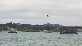 Flyboard in Havasu 4/1/18