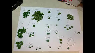 Сортирую найденные зелёные КМ