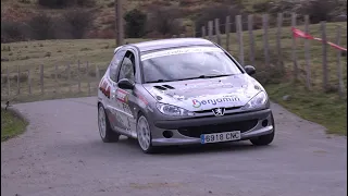 Javier Gómez - César Crespo | Rally Alto Asón  2021 | Peugeot 206 Rc