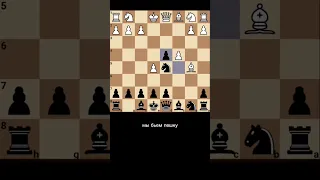 Защита Алехина! Просто Бешеный Вариант! #chess #шахматы #дебют