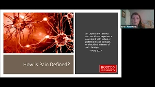 Applied Pain Science Foundations with Sorcha K Martin, PT DPT FAAOMPT