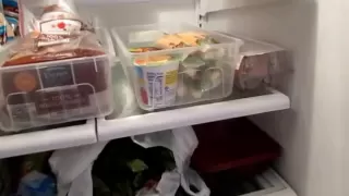 Small Kitchen Organization: Fridge and Freezer