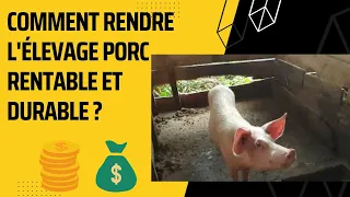 Comment rendre l'élevage porc très rentable et durable ????