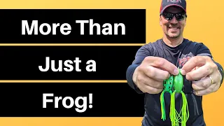 How to Catch Bass on a Frog | A Hollow-Body Frog is a Lure That Will Catch Bass in Many Situations