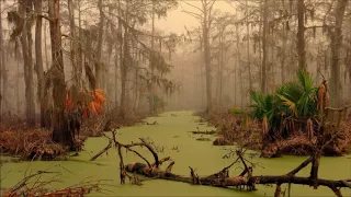 The Cursed Swamp Of Louisiana (Voodoo, Werewolves, And More)