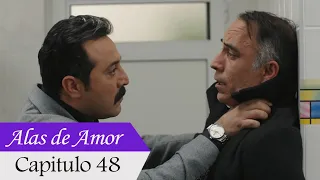 Alas de Amor - Capitulo 48 (Audio Español) | Bana Sevmeyi Anlat