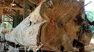 Terrible! 6m longest teak wood from saradan joglo material sawed by a sawmill