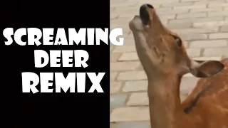 Screaming Deer - Remix Compilation