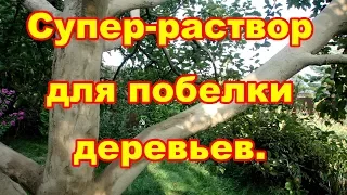 Для побелки деревьев, дешевый,легко готовится,долго держится супер раствор