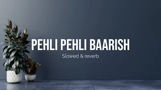 Pehli pehli barish Slowed Reverb Aayush Sharma & Neha Sharma | Yasser Desai & Himani