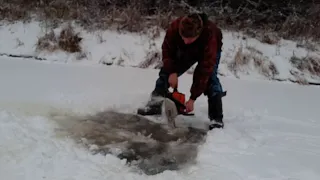 САМАЯ ПРОСТАЯ УСТАНОВКА СЕТИ ПОД ЛЁД. ЛОВИМ ЖИВЦА.