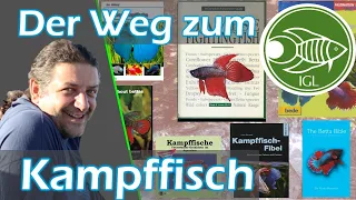 Betta splendens - der rätselhafte Kampffisch 🐟 Frank Schäfers Vortrag der IGL-Tagung Herbst 2023