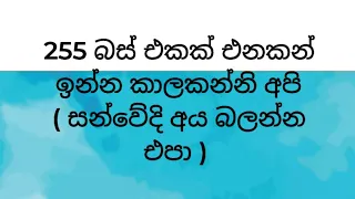 255 බස් එකක් එනකන් ගොලුමඩම හන්දියෙ ඉන්න අපි