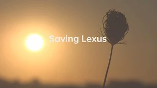 Saving Lexus -  Telemedicine at Cincinnati Children's