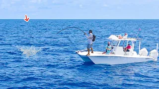 Loading The Boat with These TASTY Fish! (Catch, Clean & Cook)