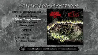 IMPURE DECLARATION / NEKUS Malevolence Evocations - full album