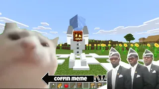 Coffin Meme but Cat is Vibing Part 5 - Minecraft