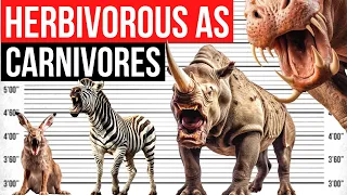 If Herbivores Animals were Carnivores | Rhino, Giraffe, Horse