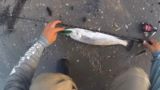 INSANE Topwater Morning Bite/Texas Saltwater