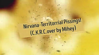 Nirvana-Territorrial Pissings (Cover by Mihey)