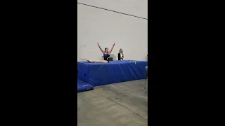 Developmental Team Vault -MCC