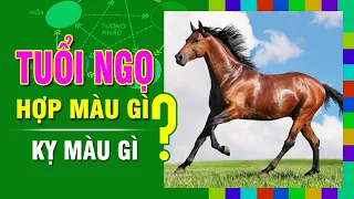 TUỔI NGỌ Hợp MÀU GÌ? Kỵ Màu Nào Nhất? Chọn Màu Sắc Đúng Phong Thủy Để Đón May Mắn