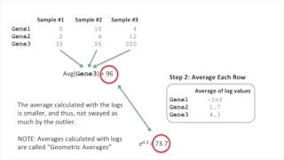 StatQuest: DESeq2, part 1, Library Normalization